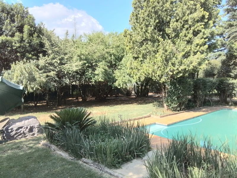 A private outdoor pool area featuring a paved surround, established garden landscaping, and mature trees providing a tranquil, shaded setting.