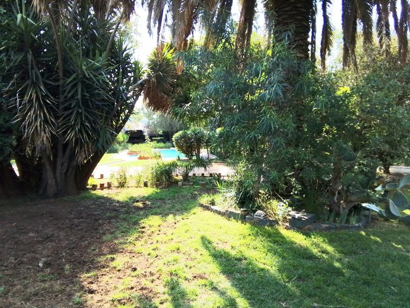 A lush, mature garden featuring established trees and landscaping, with a swimming pool visible in the background.