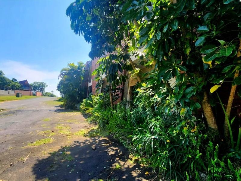 Farm For Sale In Hibberdene - Photo 10