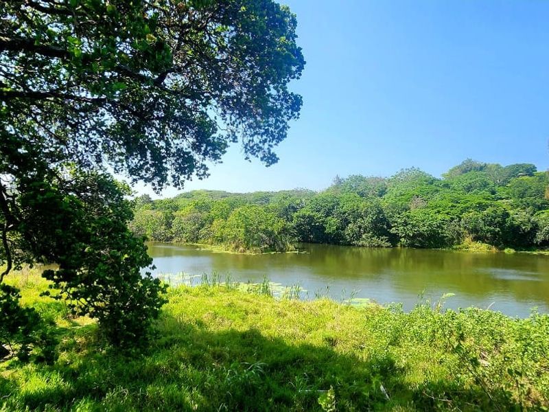 Farm For Sale In Hibberdene - Photo 7