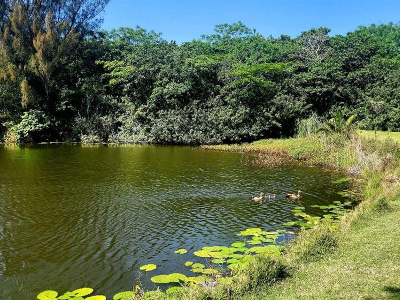 Farm For Sale In Hibberdene - Photo 4