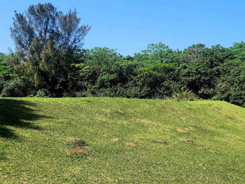 Farm For Sale In Hibberdene - Photo 3