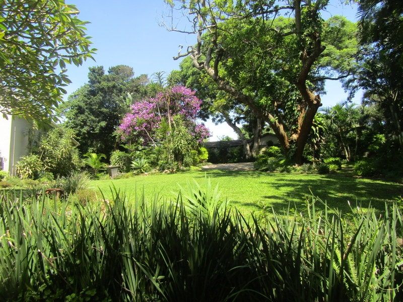 House For Sale In Amanzimtoti - Photo 3
