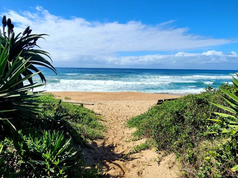 A scenic view of the ocean and sandy beach, framed by coastal dune vegetation and a natural access path.