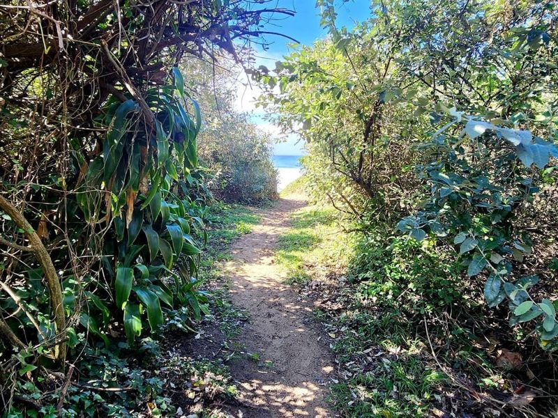 A natural pathway through dense coastal vegetation leading towards the ocean, highlighting the property's direct access to the beach.