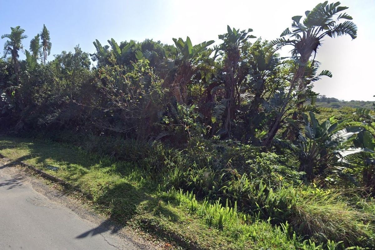 Street view of the residential vacant land plot featuring established trees and vegetation along the roadside verge.