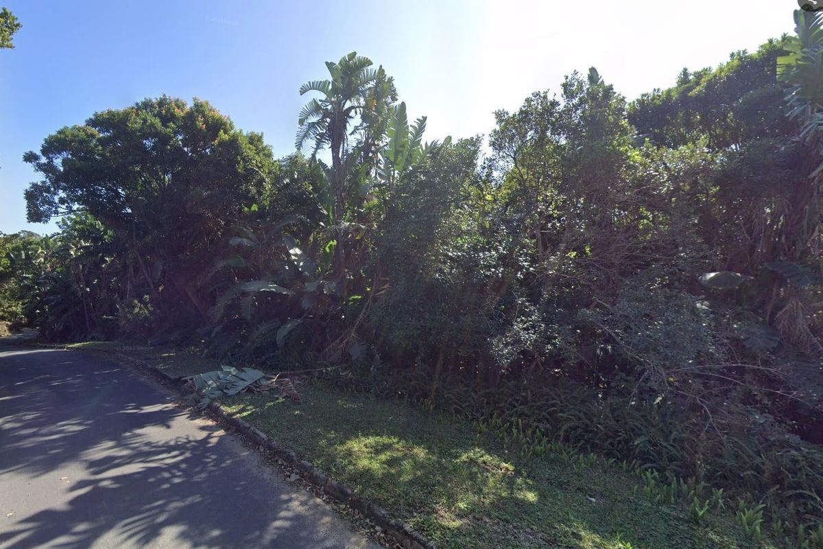 A street-level view of a vacant residential plot featuring dense mature trees and natural vegetation along the roadside.