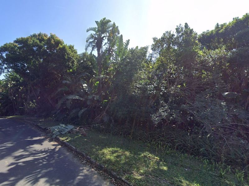 A street-level view of a vacant residential plot featuring dense mature trees and natural vegetation along the roadside.