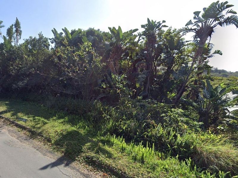 Street view of the residential vacant land plot featuring established trees and vegetation along the roadside verge.