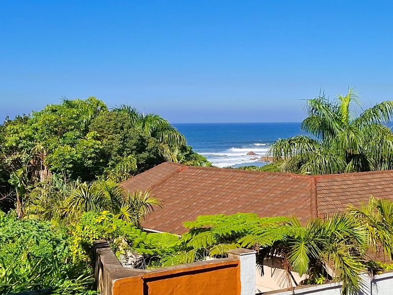 A scenic elevated view overlooking lush coastal vegetation and the ocean, featuring a tiled roof in the foreground.
