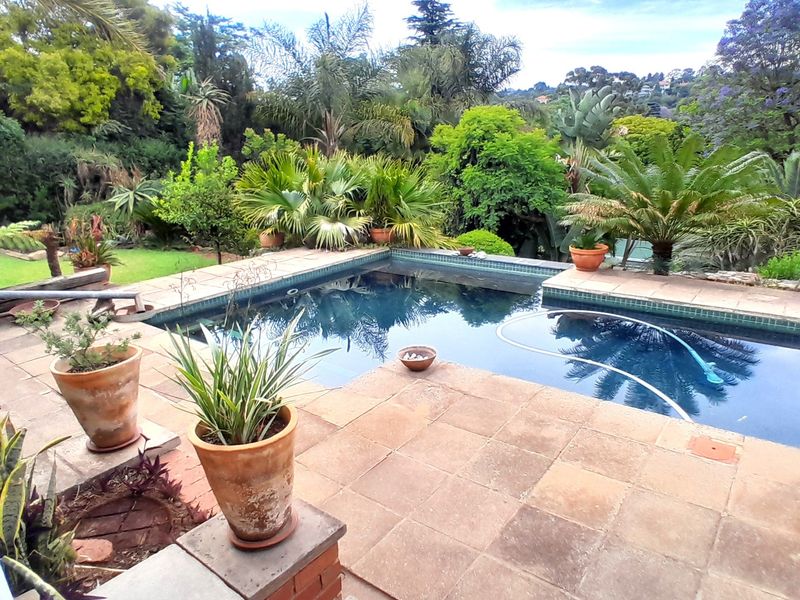 Apartment Rental Monthly In Johannesburg - Photo 10