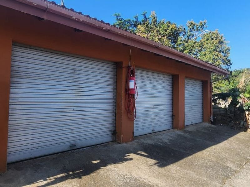 A triple garage featuring three roller shutter doors and a concrete driveway, set against a garden backdrop.