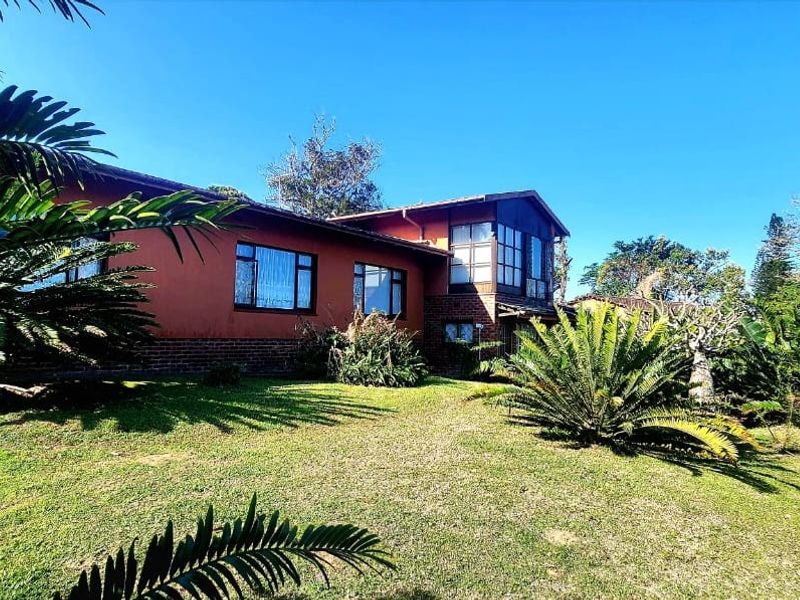 Rear view of the property featuring a brick and painted facade, large windows, and a well-established garden area.