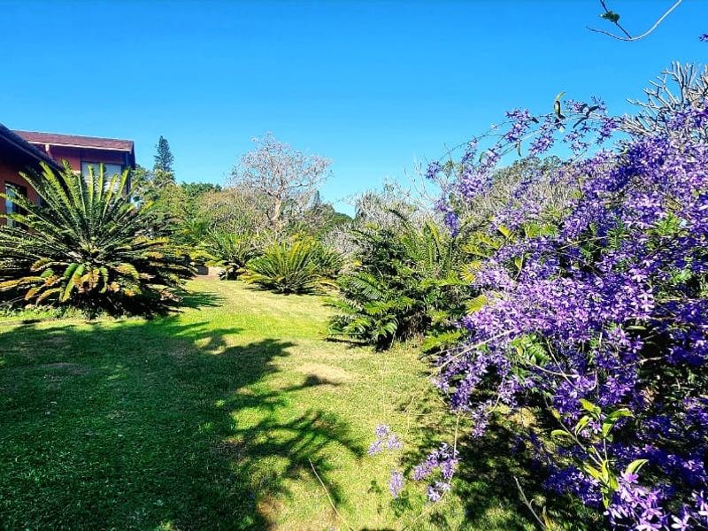 A well-maintained garden area featuring a lush lawn, mature cycads, and vibrant flowering shrubs alongside the exterior of the home.