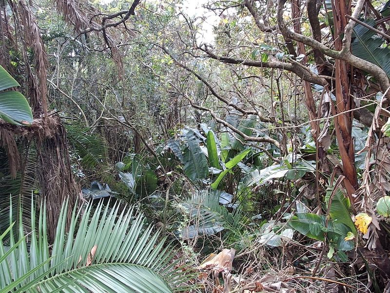 Vacant Land Pending Sale In Margate - Photo 4