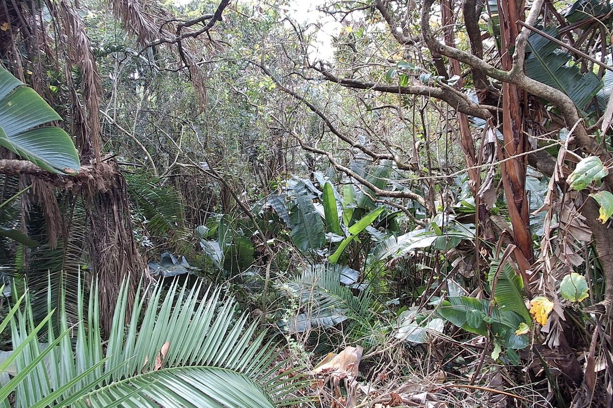 Vacant Land Pending Sale In Margate - Photo 4