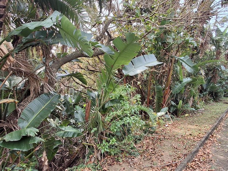 Vacant Land Pending Sale In Margate - Photo 5