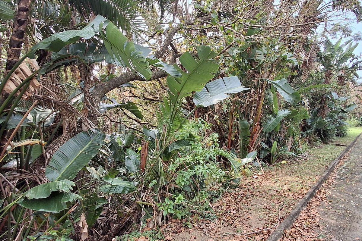 Vacant Land Pending Sale In Margate - Photo 5