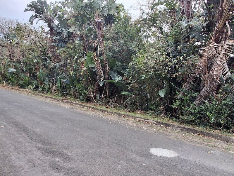 Vacant Land Pending Sale In Margate - Photo 6