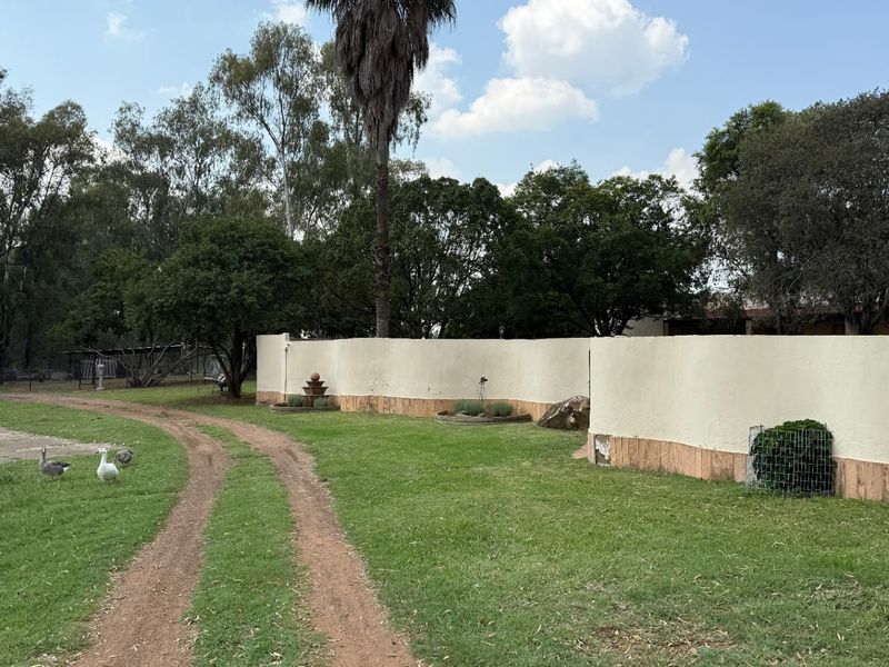 A spacious garden area featuring a curved boundary wall, mature trees, and a dirt driveway leading through the property grounds.