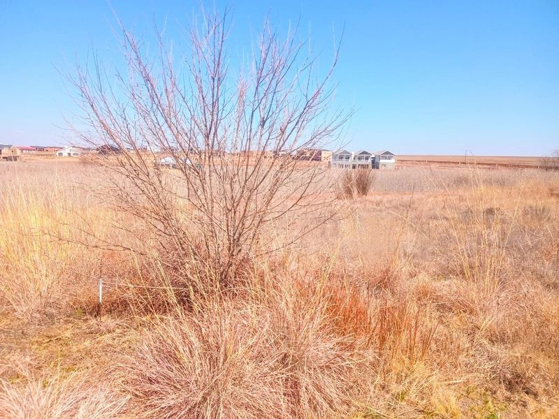 Vacant Land For Sale In Bronkhorstspruit - Photo 5