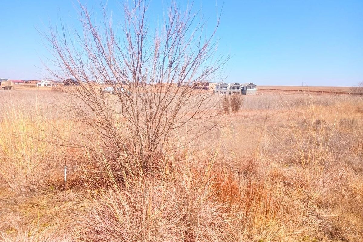 Vacant Land For Sale In Bronkhorstspruit - Photo 5