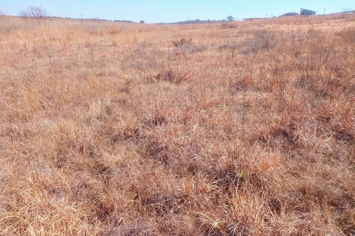 A wide-angle view of a vacant residential plot featuring natural dry grassland and open terrain.