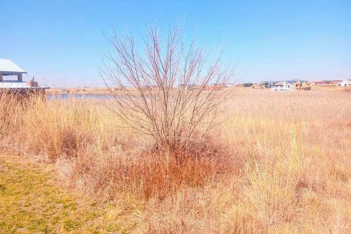 A view of the vacant residential land featuring dry grass, natural vegetation, and distant residential properties in the background.