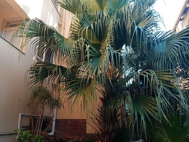 Apartment For Sale In Durban - Photo 9
