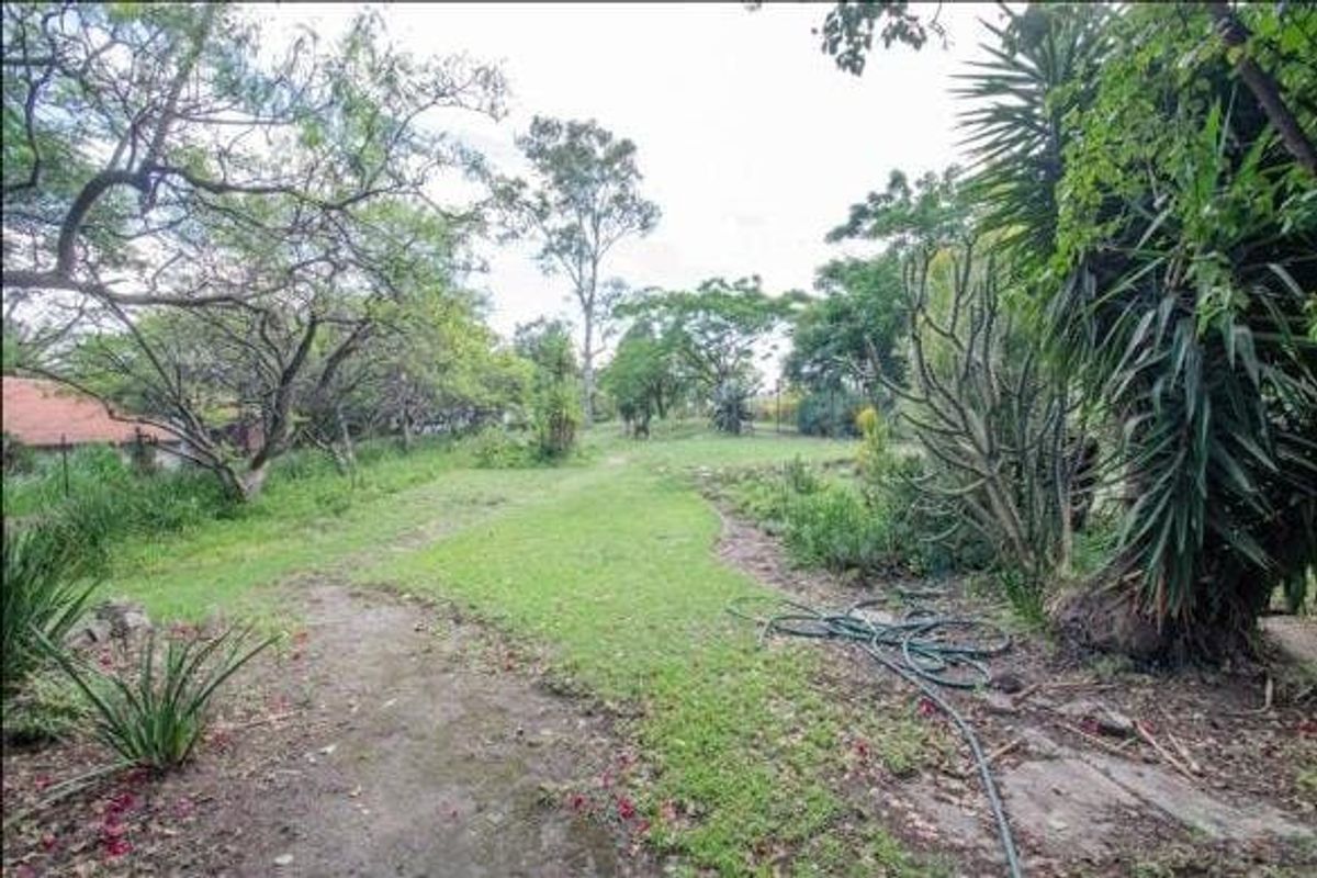 A view of the residential vacant land featuring established trees and natural garden landscaping.