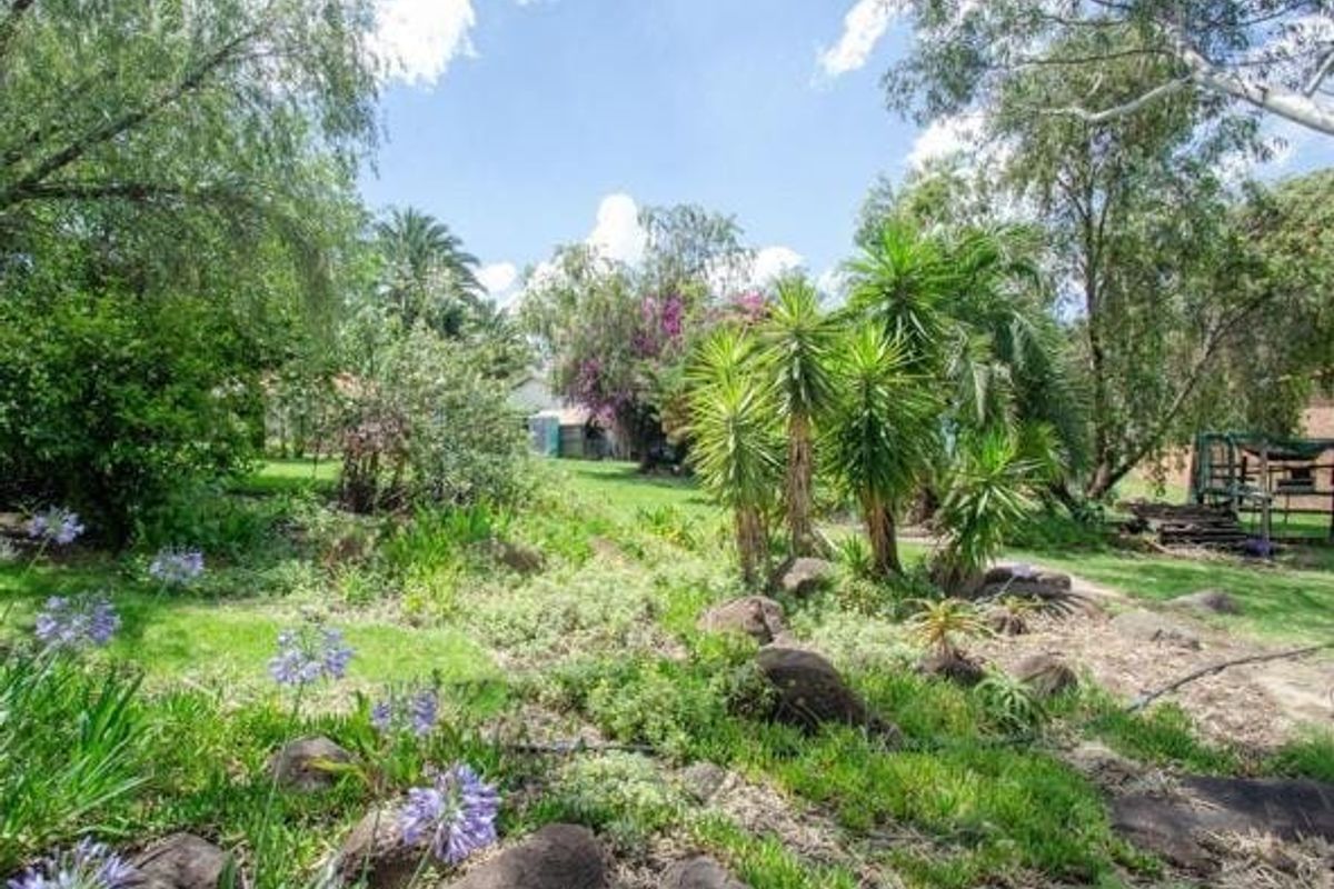 A lush, established residential garden featuring mature trees, diverse plantings, and natural rockery elements, providing a serene outdoor setting.