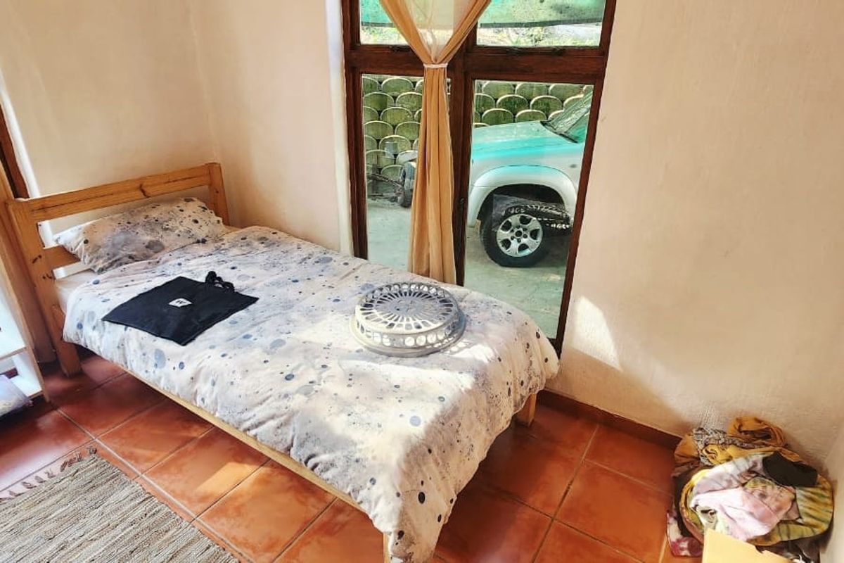 A compact bedroom featuring terracotta floor tiles and large timber-framed windows providing natural light and garden views.