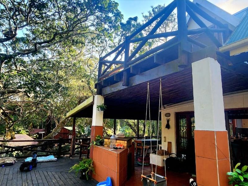 Spacious elevated timber deck featuring a built-in brick braai area, timber pergola, and direct access to the home, overlooking a lush garden setting.