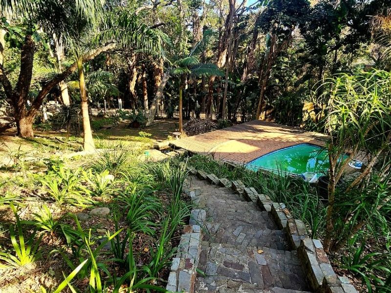 A naturalistic garden setting featuring a swimming pool with a brick-paved surround, accessed by a stone staircase through a lush, wooded landscape.
