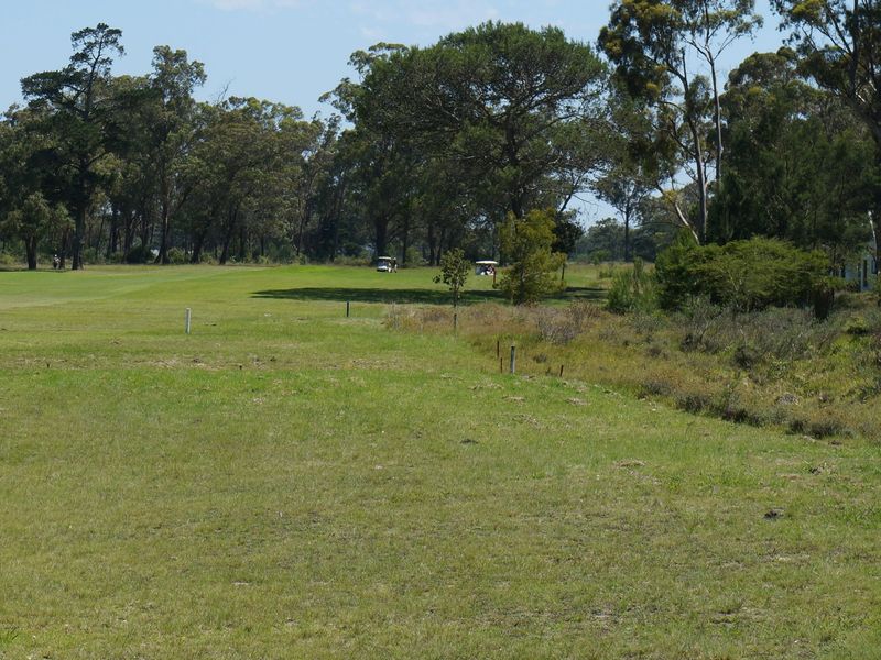 A scenic view of an open grassy residential plot surrounded by mature trees and natural landscape.
