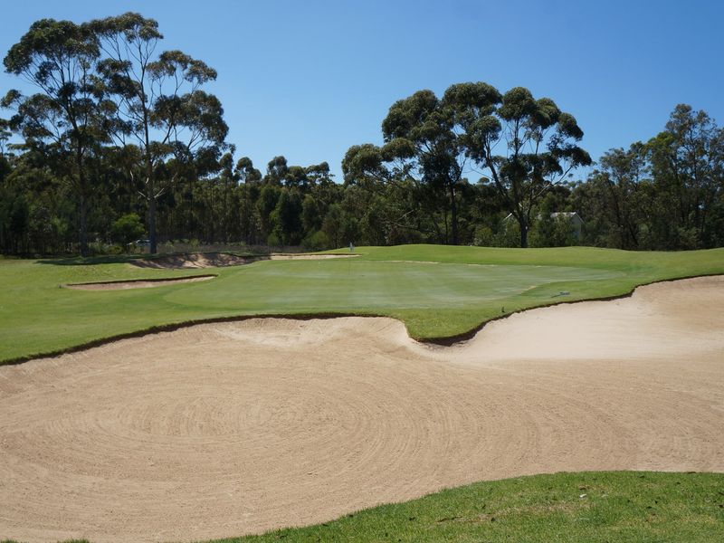 A scenic view of a well-maintained golf course green surrounded by sand bunkers and mature native trees.