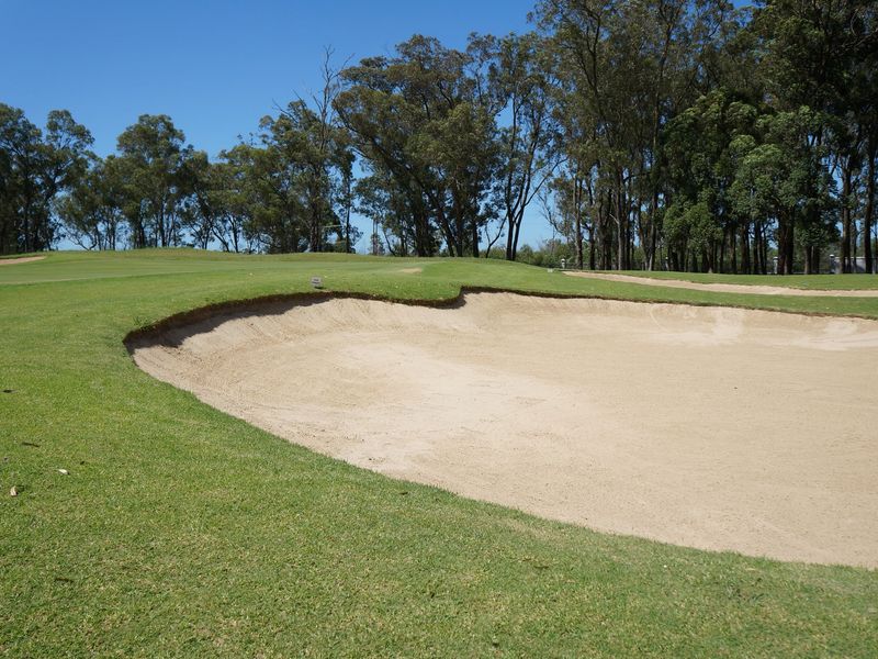 A well-maintained golf course sand bunker and putting green surrounded by mature trees.