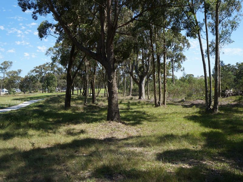 A view of a vacant residential plot featuring established trees and natural grassland, offering a peaceful setting for potential development.