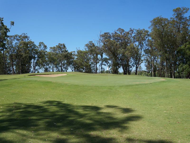 A scenic view of a well-maintained golf course green featuring a sand bunker and surrounding mature trees.