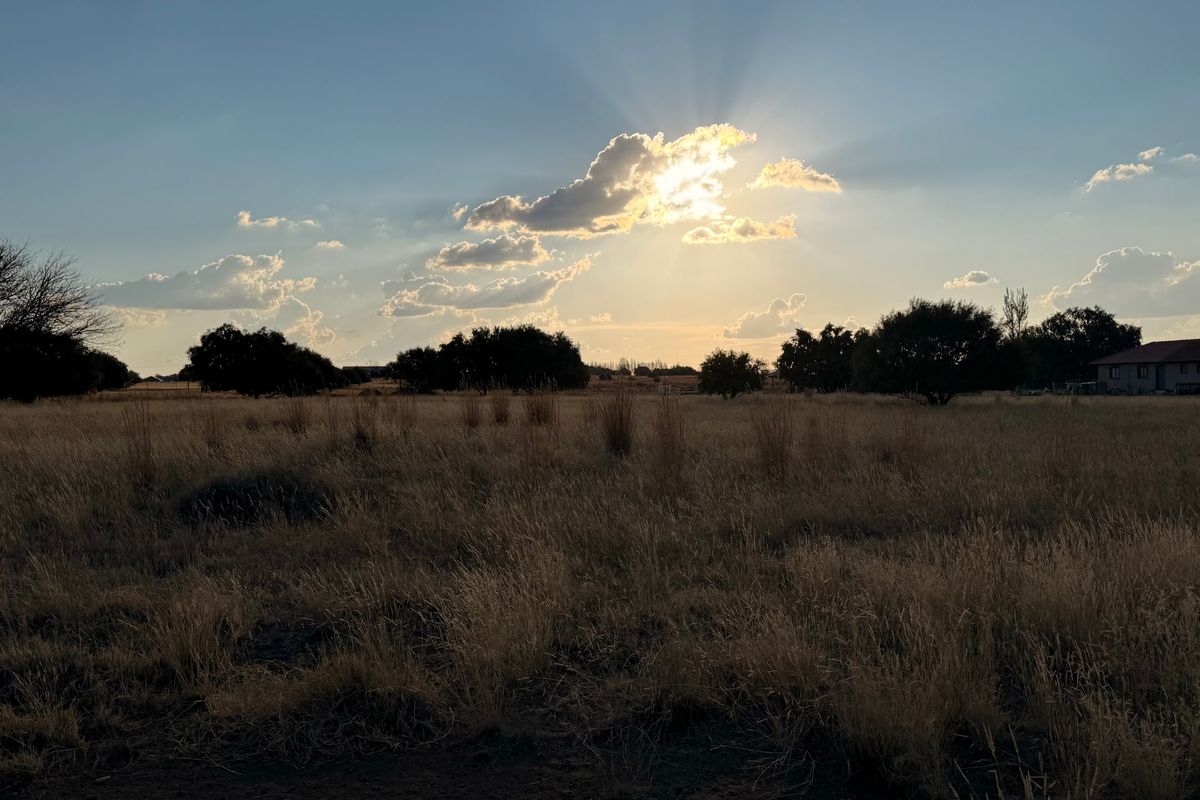 A scenic view of open, undeveloped residential land featuring natural grasses and mature trees under a sunset sky.