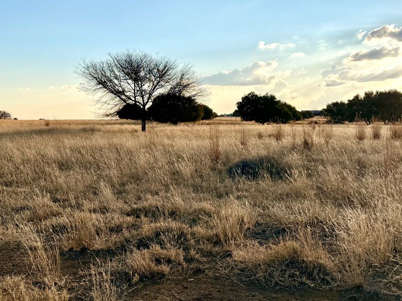 Vacant Land Pending Sale In Bloemfontein - Photo 5