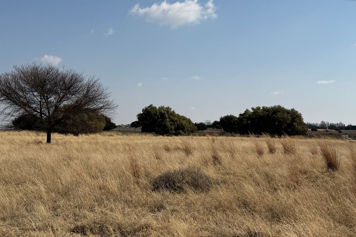 A view of a vacant residential plot featuring dry grassland and mature trees under a clear blue sky.