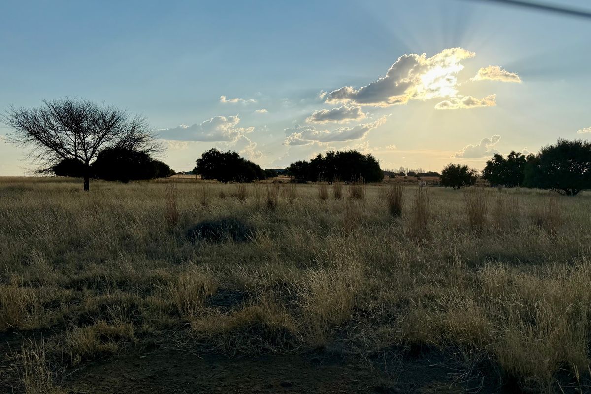 A scenic view of an open, undeveloped residential land plot featuring natural grass and scattered trees under a sunset sky.