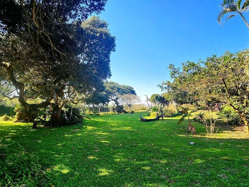 A spacious, well-established garden featuring mature trees, expansive lawn areas, and perimeter fencing, offering a private and tranquil outdoor setting.