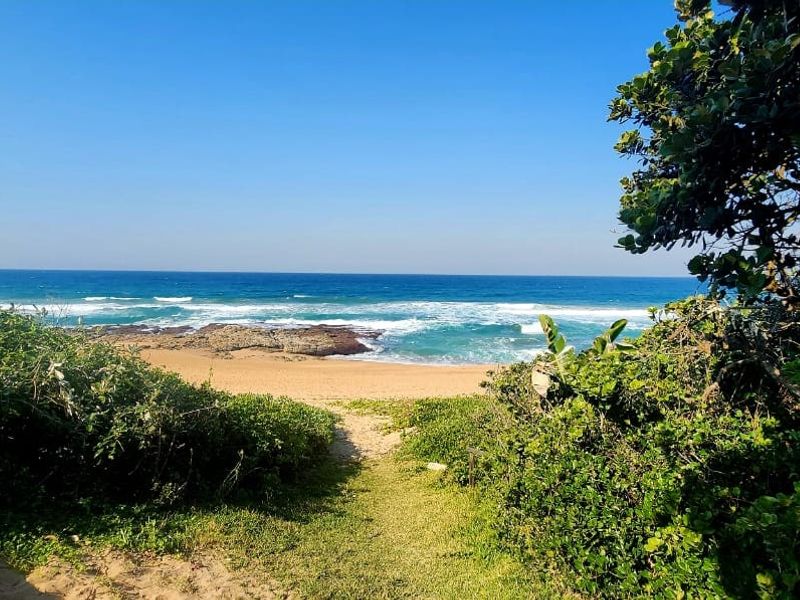 A scenic view of the ocean and sandy beach, framed by natural coastal vegetation and a pathway leading towards the shoreline.