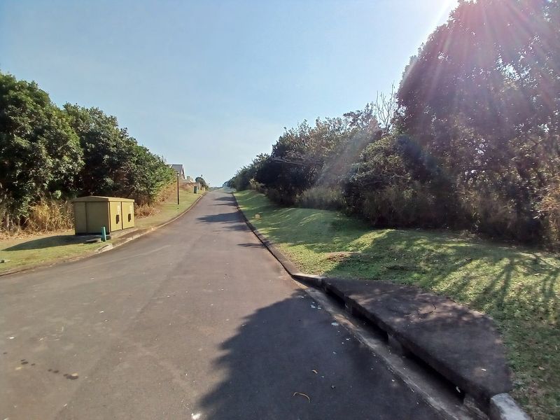A view of the paved residential street and verge, featuring established trees and utility infrastructure along the roadside.