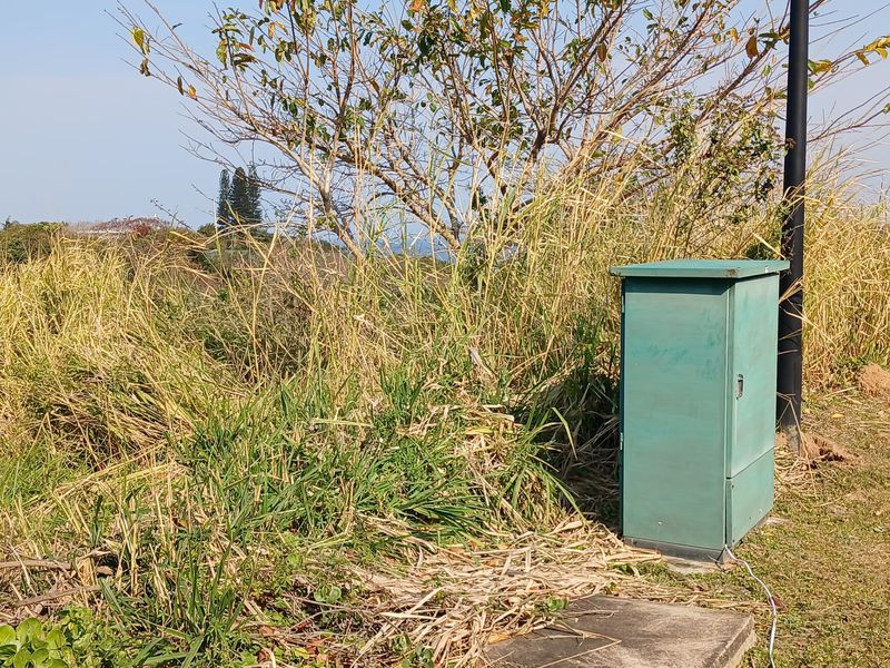 A view of the vacant residential land featuring overgrown grass, trees, and a fixed electrical utility box.