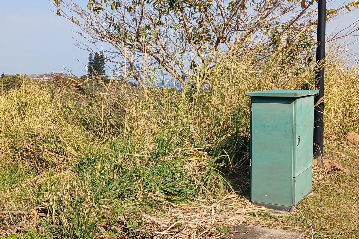 A view of the vacant residential land featuring overgrown grass, trees, and a fixed electrical utility box.