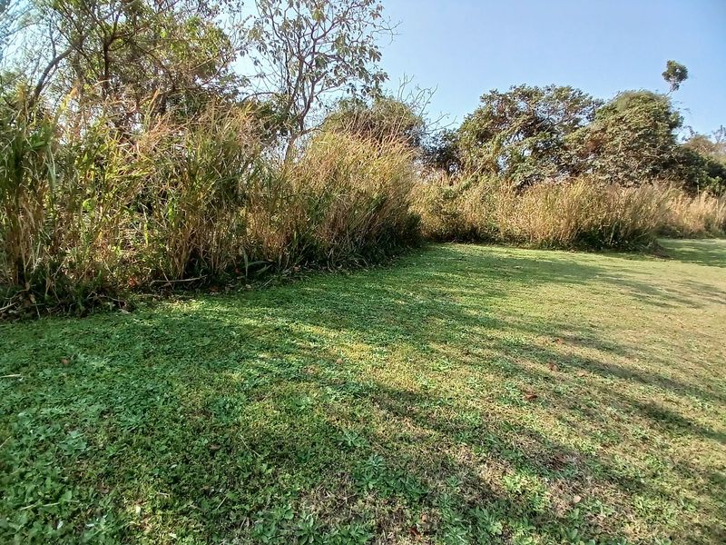 A view of a grassy residential plot featuring mature trees and natural landscaping.