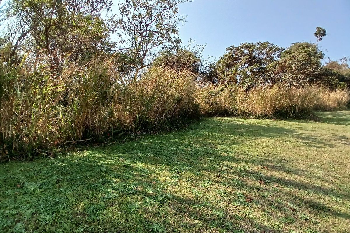 A view of a grassy residential plot featuring mature trees and natural landscaping.